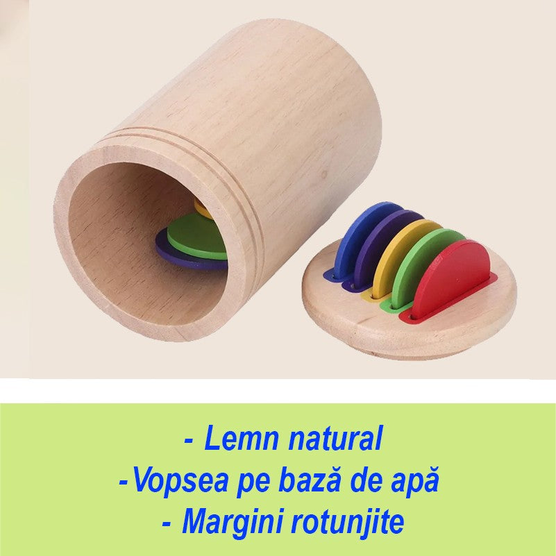 Jucarie Educativa Montessori din Lemn, 13 Piese, Sortator cu Discuri Colorate, Joc de Motricitate Fina pentru Copii, Varsta 2+ ani, Saculet Depozitare, 11.3 x 7 cm, Multicolor